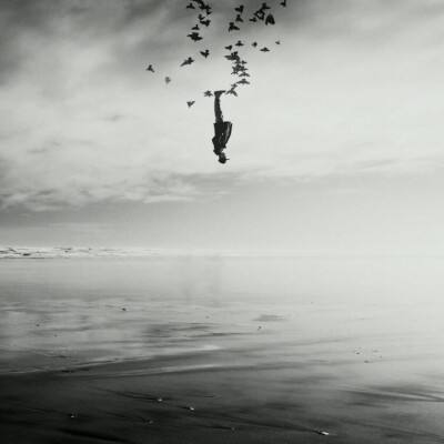 买球的app排行榜前十名推荐手机app下载